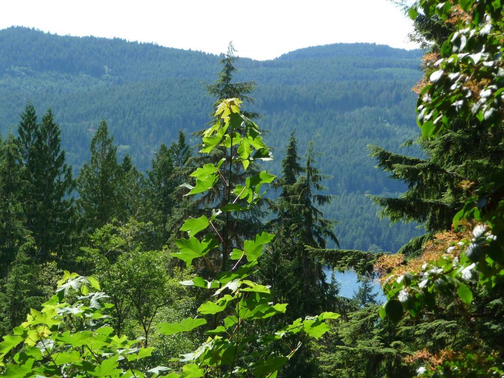 Davis Brook Retreat Bed and Breakfast Sechelt Εξωτερικό φωτογραφία