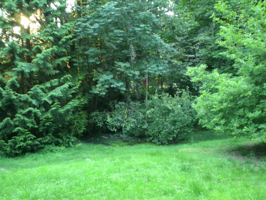 Davis Brook Retreat Bed and Breakfast Sechelt Εξωτερικό φωτογραφία
