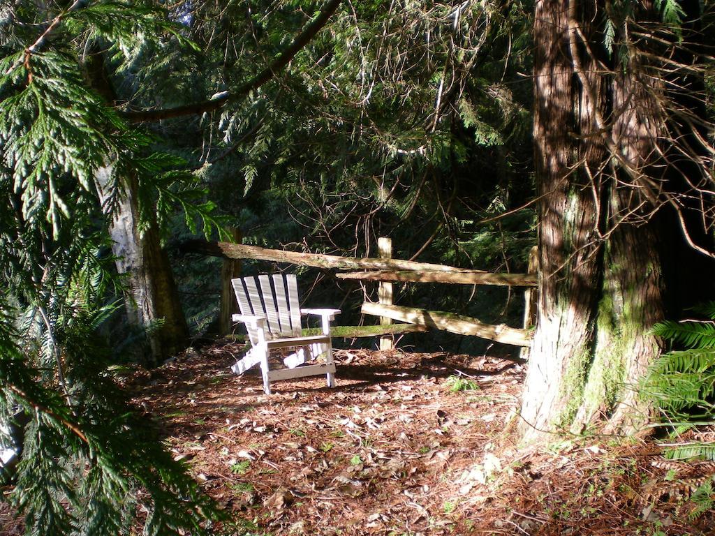 Davis Brook Retreat Bed and Breakfast Sechelt Εξωτερικό φωτογραφία
