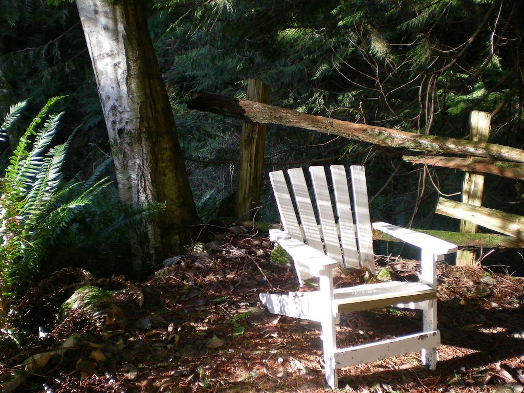 Davis Brook Retreat Bed and Breakfast Sechelt Εξωτερικό φωτογραφία