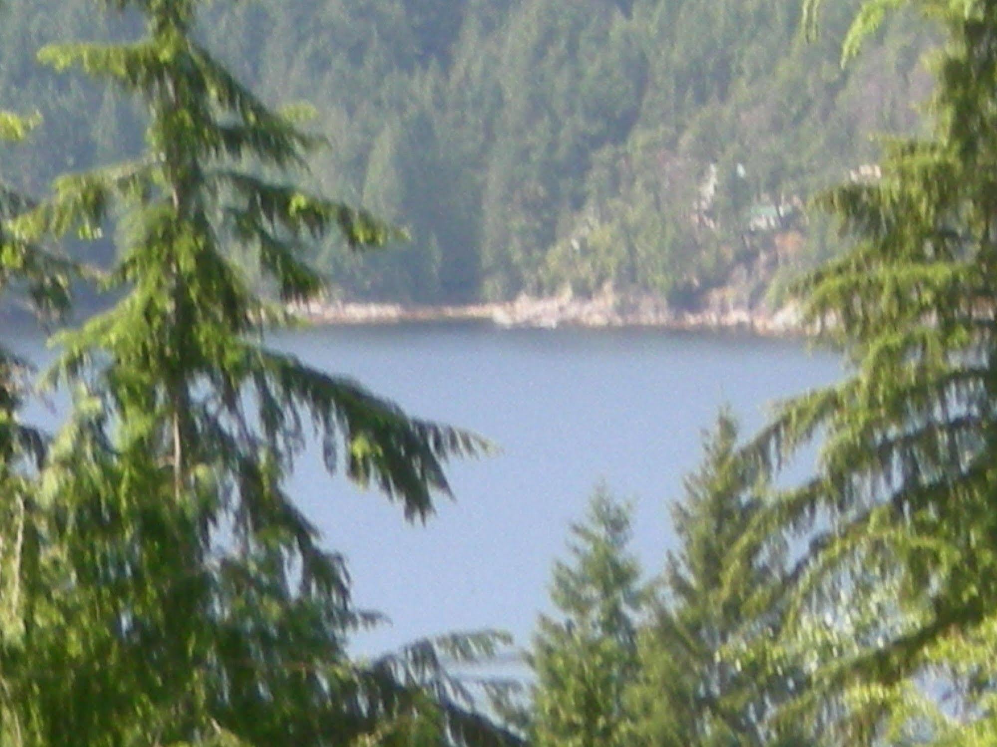 Davis Brook Retreat Bed and Breakfast Sechelt Εξωτερικό φωτογραφία