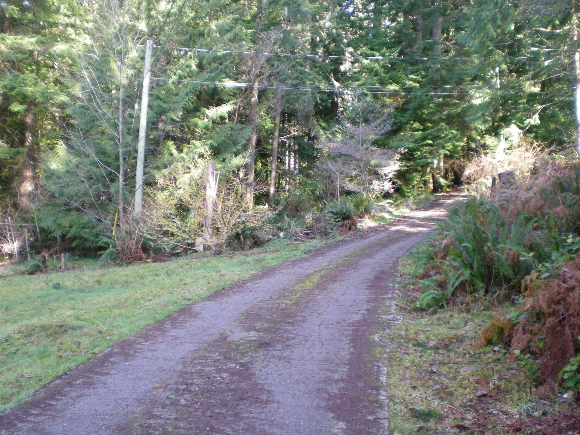Davis Brook Retreat Bed and Breakfast Sechelt Εξωτερικό φωτογραφία