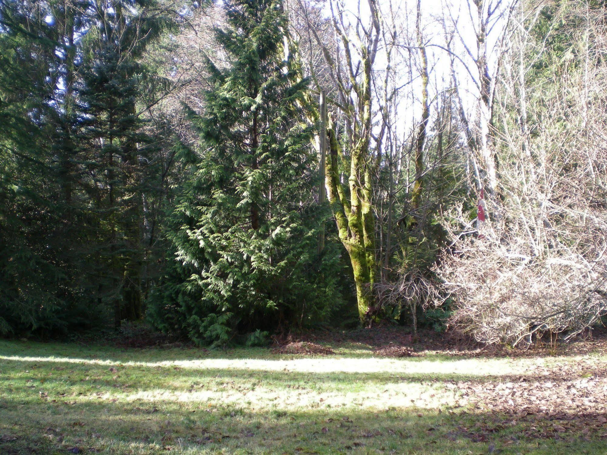 Davis Brook Retreat Bed and Breakfast Sechelt Εξωτερικό φωτογραφία